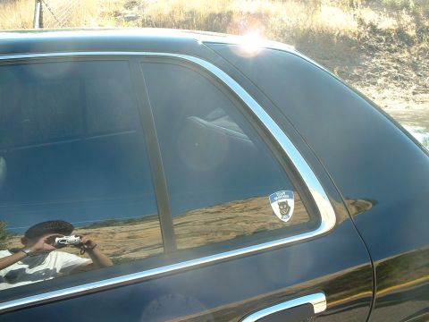 1999 Ford Crown Victoria - Team Panther decal