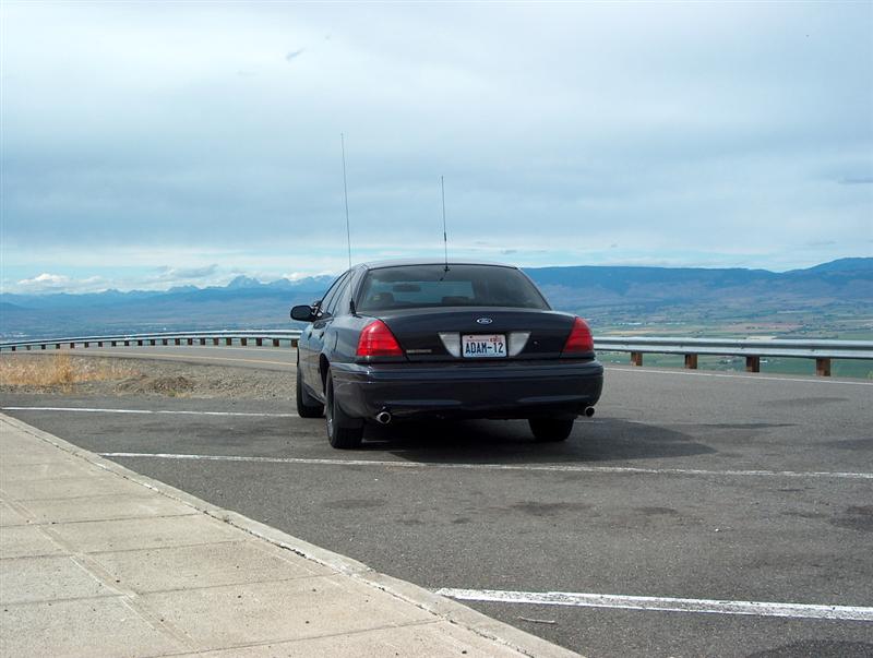 Dark 2001 Ford Crown Victoria rear view with license plate ADAM-12
