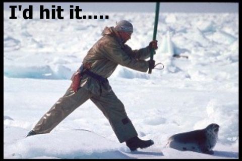 1989 Ford Bronco - A man prepares to strike a seal with an ice axe on a frozen landscape, with text overlay.