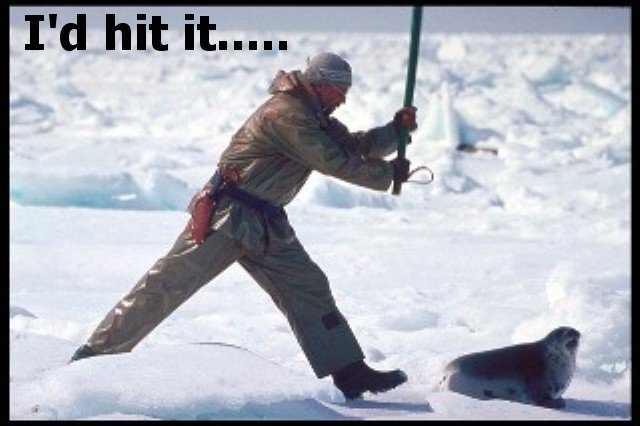 Man in parka with ice axe lunging at a seal on an ice floe, text 'I'd hit it.....' above
