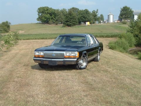 1989 Ford Crown Victoria LTD - Black 1989 Ford Crown Victoria LTD sits on a dry grass slope with a farm and silo behind it.