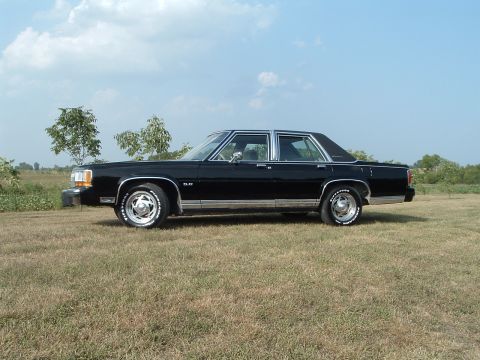 1989 Ford Crown Victoria LTD - A black 1989 Ford Crown Victoria LTD sedan is viewed from its side profile in a grassy outdoor setting.