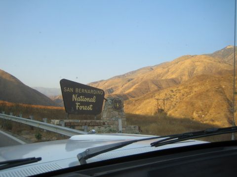 1990 Ford Bronco - San Bernardino National Forest entrance sign stands beside a road, viewed over a vehicle hood with golden dry hills in the background.