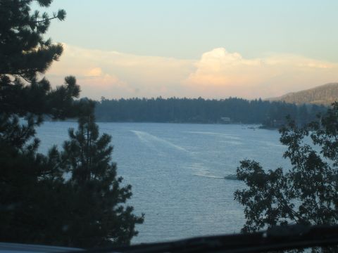 1990 Ford Bronco - calm blue lake ringed by pine-forested shoreline sits under soft sunset clouds, framed by foreground evergreen branches.