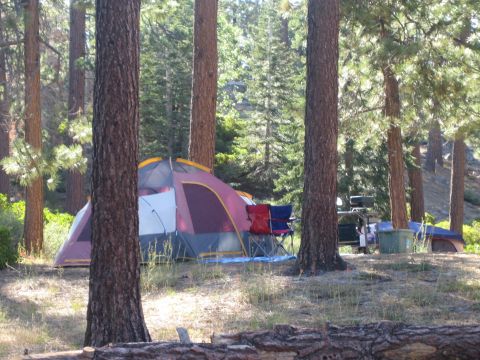1990 Ford Bronco - maroon and gray dome tent with folding camp chairs sits in a sunny clearing among tall pine trunks at a forest campsite.