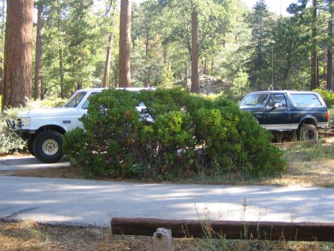 1990 Ford Bronco - OK let start rolling!