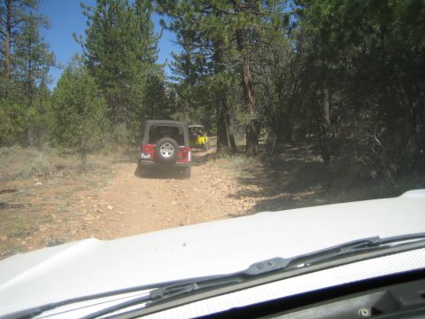 1990 Ford Bronco - View over a white hood of a red Jeep Wrangler and a yellow buggy ahead on a forested dirt trail.