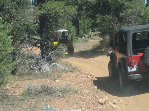 1990 Ford Bronco - red Jeep Wrangler trails a yellow buggy along a winding dirt path among pine trees and brush.