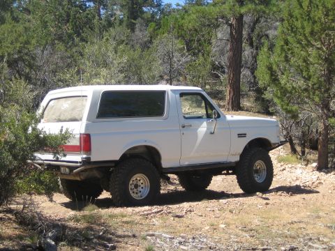 1990 Ford Bronco - Side view of a white lifted Ford Bronco with oversized tires parked among evergreens on rocky ground.