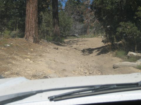 1990 Ford Bronco - View over a white hood of a rocky, rutted dirt trail climbing uphill through a pine forest.