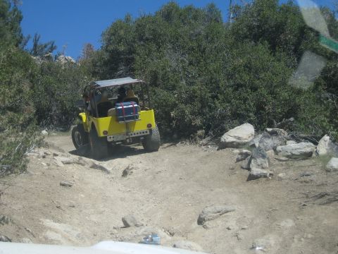 1990 Ford Bronco - yellow open-top buggy carrying a cooler heads up a dirt trail surrounded by green brush and pines.