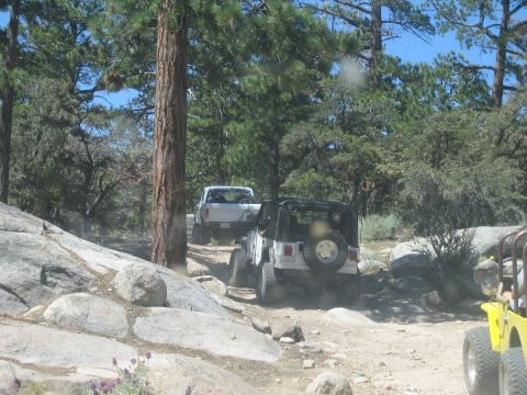 1990 Ford Bronco - white pickup truck and a black Jeep Wrangler navigate a rocky, dusty trail through a pine forest.