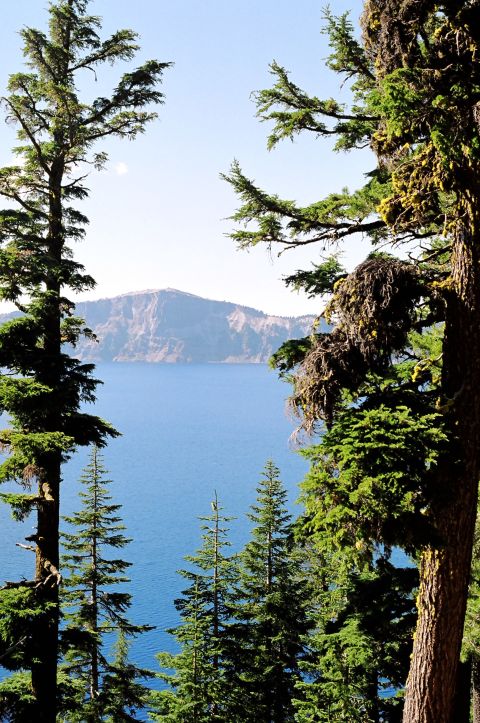 1979 Ford Bronco - A scenic view of Crater Lake framed by tall evergreen trees under a clear blue sky.