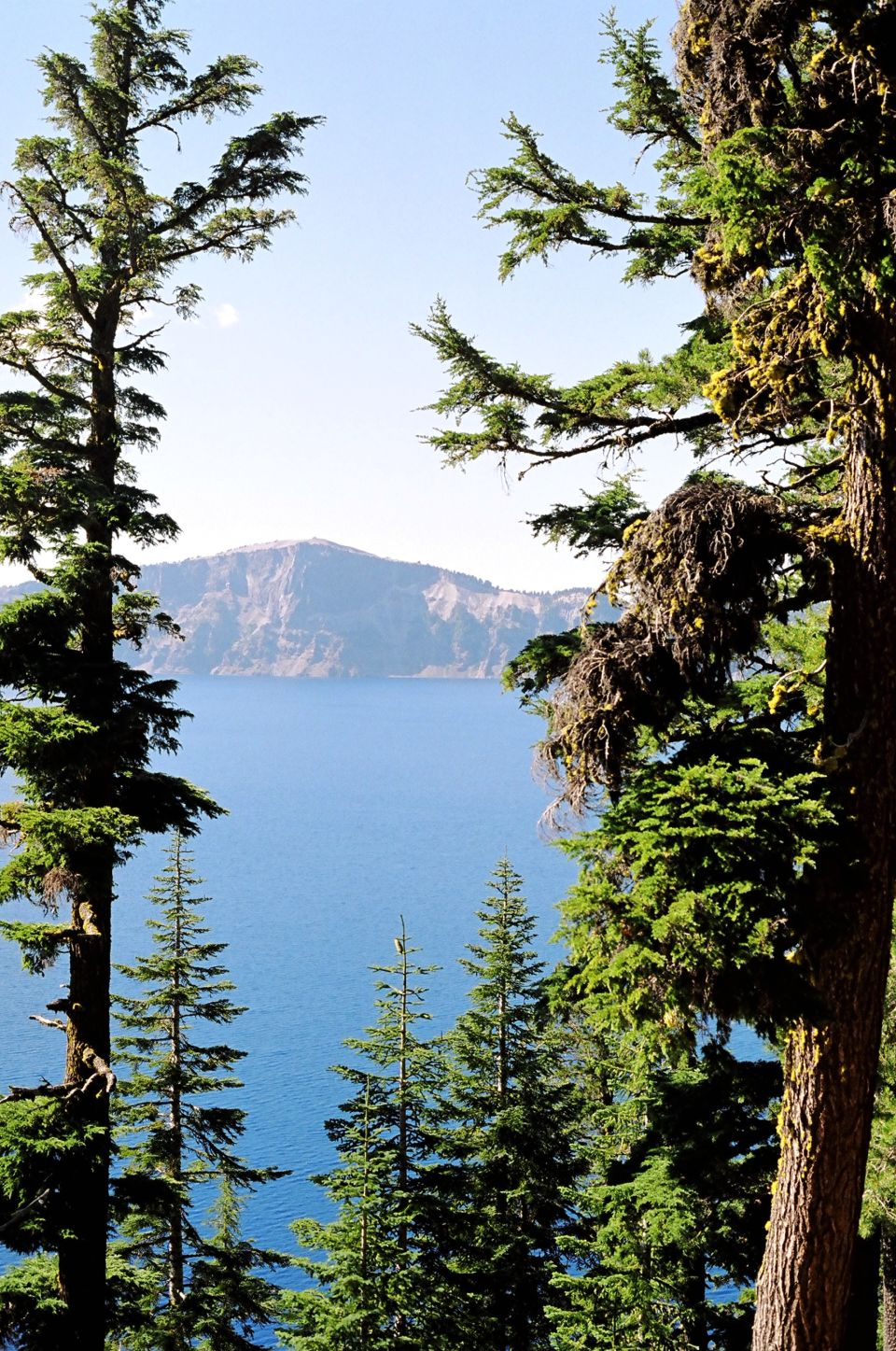 View of Crater Lake with mountains and trees