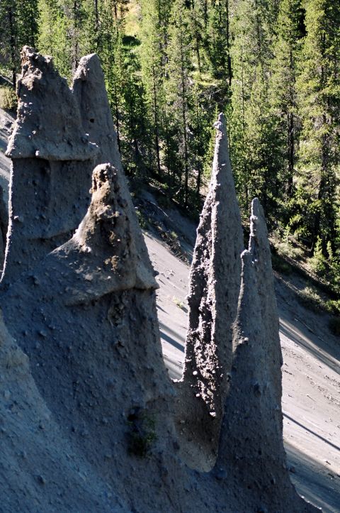 1979 Ford Bronco - Unusual geological formations stand tall against a backdrop of pine trees and a dirt road.