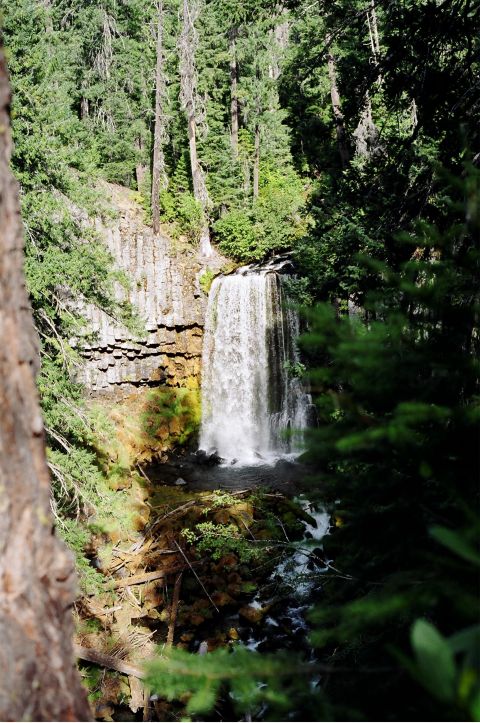 1979 Ford Bronco - A scenic view of a waterfall in a lush forest, with water flowing over rocks.