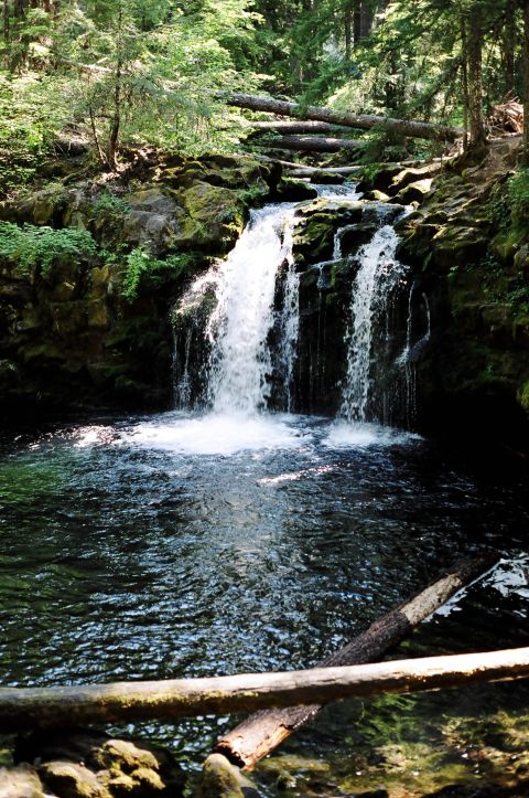 1979 Ford Bronco - A natural waterfall flows through a wooded area, surrounded by rocks and trees.