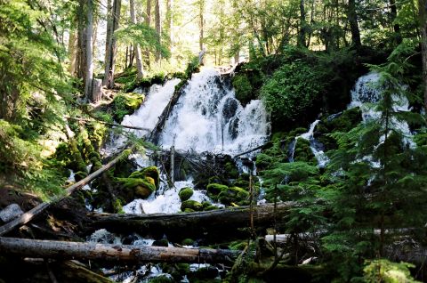 1979 Ford Bronco - A lush forest scene with a multi-tiered waterfall flowing over moss-covered rocks and logs.