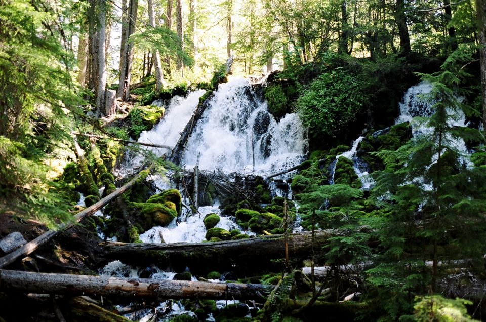 Waterfall cascading down mossy rocks in a forest with fallen logs