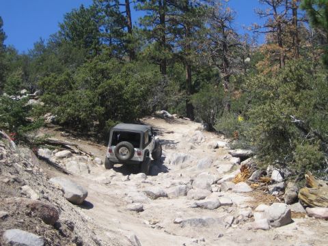 1990 Ford Bronco - gray hardtop Jeep Wrangler with a tailgate-mounted spare picks its way down a rocky descent in a pine forest.