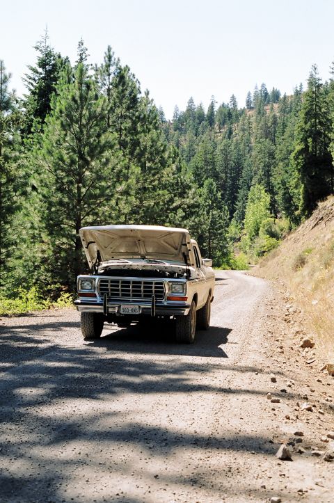 1979 Ford Bronco - A truck sits on a gravel road with its hood up, surrounded by pine trees on a sunny day.