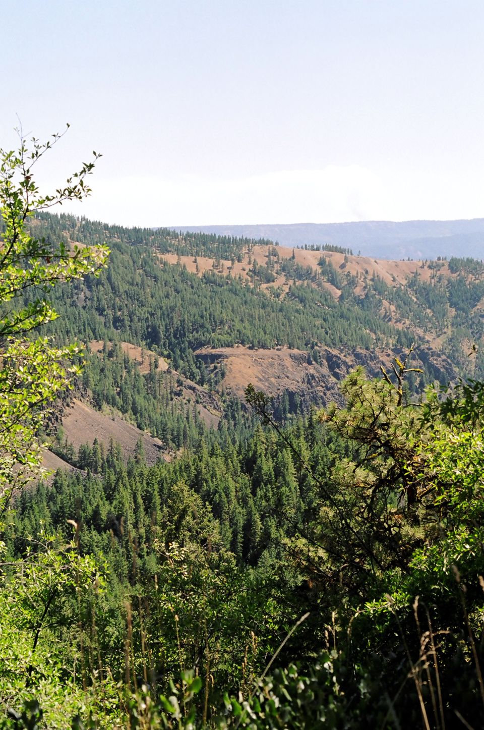Mountain landscape with dense green trees and brown hills under a clear sky