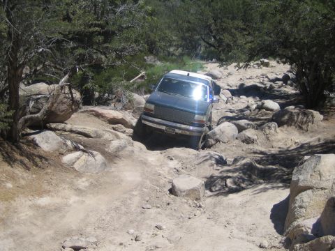 1990 Ford Bronco - dark SUV with sunlight glinting off it eases over boulders on a rough, tree-lined trail.