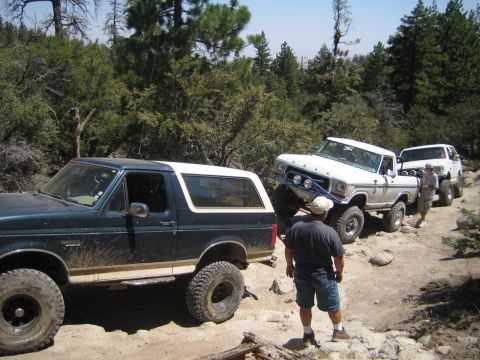 1990 Ford Bronco - green Ford Bronco leads two white Ford trucks down a pine-lined dirt trail as a man in a cap stands watching.