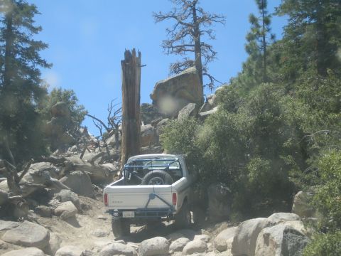 1990 Ford Bronco - white Ford pickup carrying a spare tire in the bed climbs a rocky trail beside a tall dead tree snag.