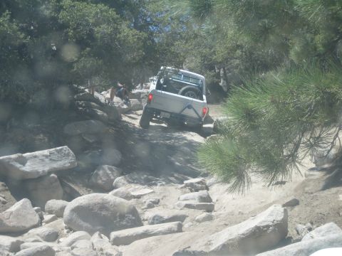 1990 Ford Bronco - silver truck with a spare tire in its bed climbs a rocky trail, framed by pine branches in the foreground.