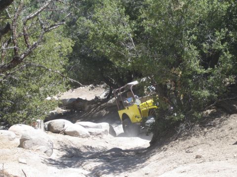 1990 Ford Bronco - yellow flat-fender Jeep tilts steeply over boulders on a sandy trail shaded by dense overhanging trees.