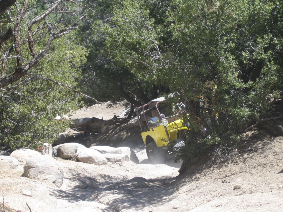 Yellow flat-fender Jeep tipped on rocks beneath overhanging trees
