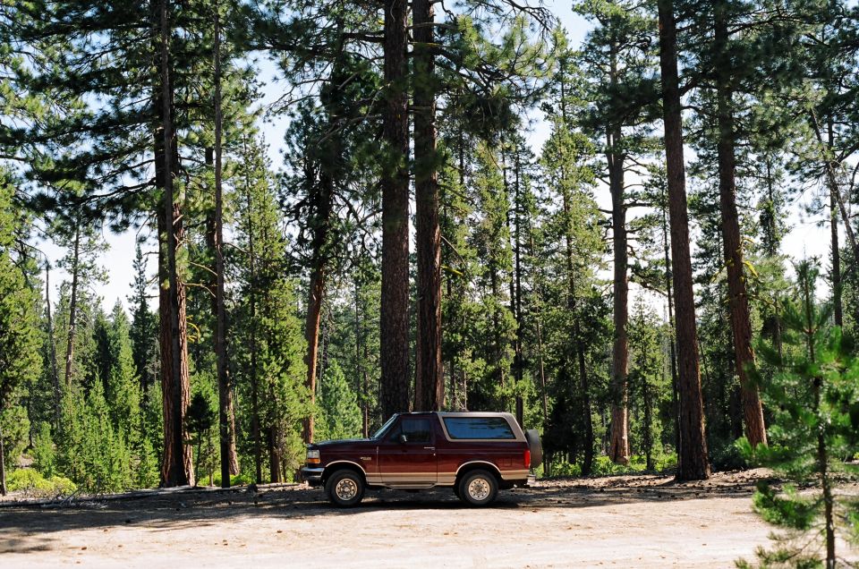 Maroon and tan Ford Bronco parked on dirt road with tall pine trees behind it