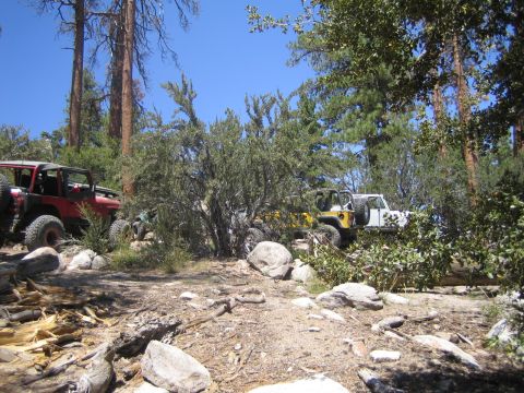1990 Ford Bronco - red open-top buggy and a yellow-and-white off-road rig sit among rocks and pine trees on a dusty trail.