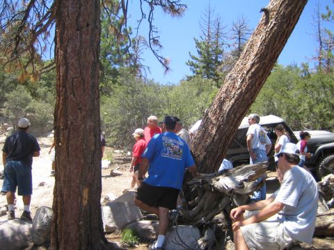 1990 Ford Bronco - group of people in casual summer clothes gather among tall pines at a trail rest stop, with off-road vehicles parked behind.