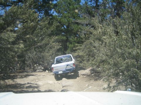 1990 Ford Bronco - Seen over a white hood, a white off-road pickup with a bed roll bar and spare tire climbs a rocky trail through pine forest.