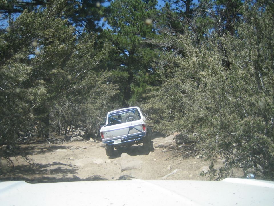 White off-road pickup with bed roll bar climbing a forest trail, seen over a hood