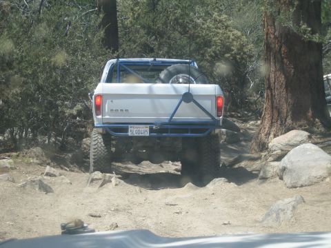 1990 Ford Bronco - rear of a white Ford pickup with a blue tube bumper and bed-mounted spare as it climbs a rocky section beneath tall pines.