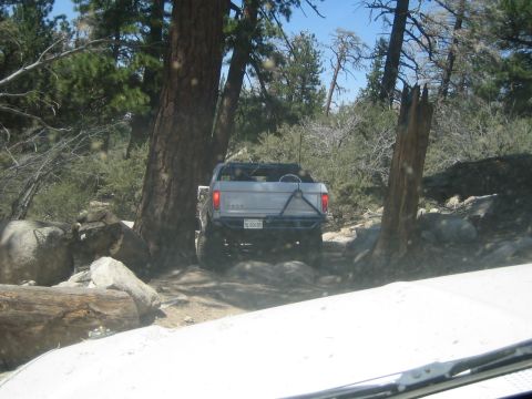 1990 Ford Bronco - Seen over a white hood, an open-top white pickup with a tube bumper crawls a rocky trail between large pine trunks.