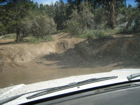1990 Ford Bronco - muddy dirt trail and pine trees seen over the white hood of a vehicle through a mud-spattered windshield with wipers.