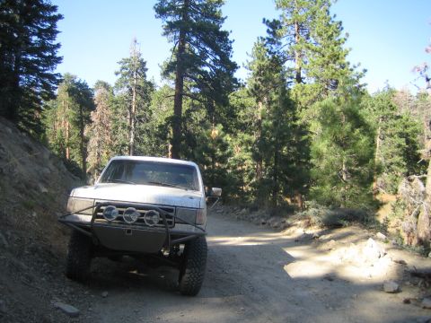 1990 Ford Bronco - silver lifted Ford pickup with a front tube bumper and round lights sits on a sunlit dirt trail among tall pines.