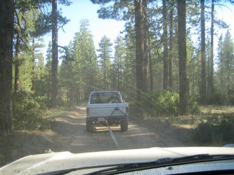 1990 Ford Bronco - white lifted SUV with a tow strap heading down a tree-lined dirt road, viewed from a following vehicle.