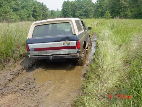 1995 Dodge 1500 - This Ford Bronco is deep in the mud on an off-road trail.