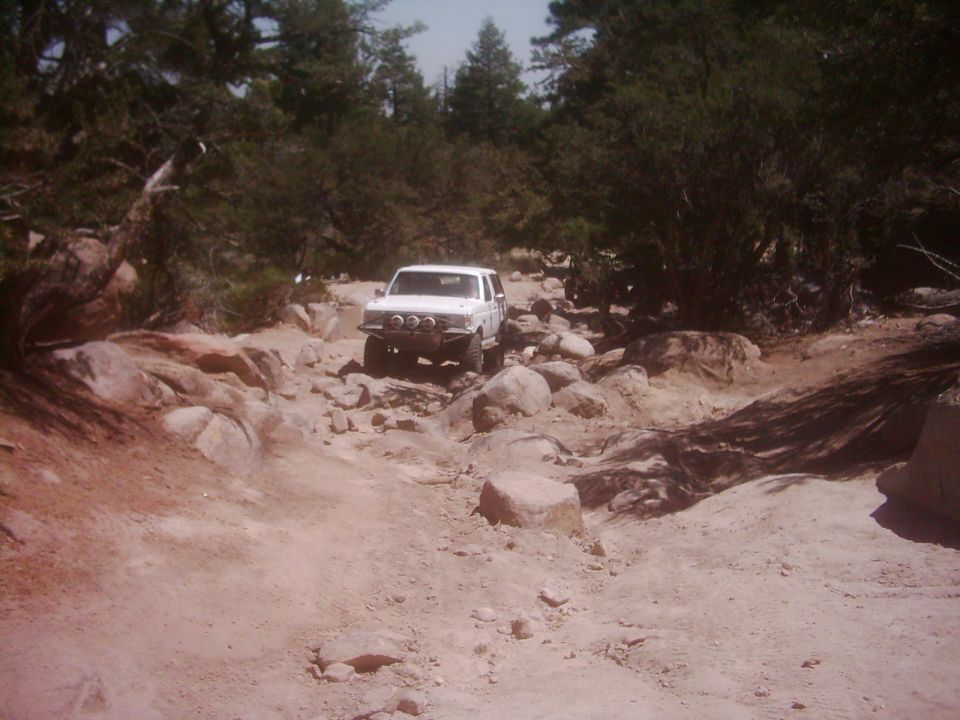 White SUV driving on a rocky trail with trees around