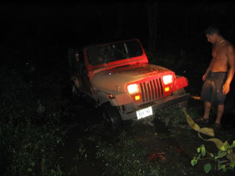 1994 Ford Bronco - another shot