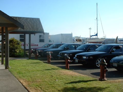 1999 Ford Crown Victoria - Several black sedans are parked in a row, with a building and boats visible in the distance.