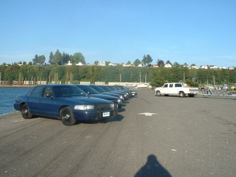 1999 Ford Crown Victoria - Several blue sedans are parked in a line next to a body of water, with a white pickup truck visible in the distance.