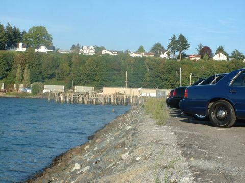 1999 Ford Crown Victoria - A line of blue Ford Crown Victorias are parked near a waterfront with a pier and houses on a hill in the background.