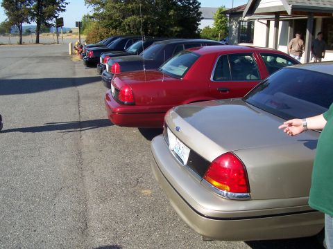 2003 Ford Crown Victoria - Several Ford Crown Victorias are parked in a lot, with a tan model in the foreground.