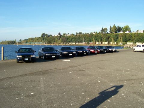 2003 Ford Crown Victoria - Several Ford Crown Victoria police cars are lined up next to a waterfront on a sunny day.